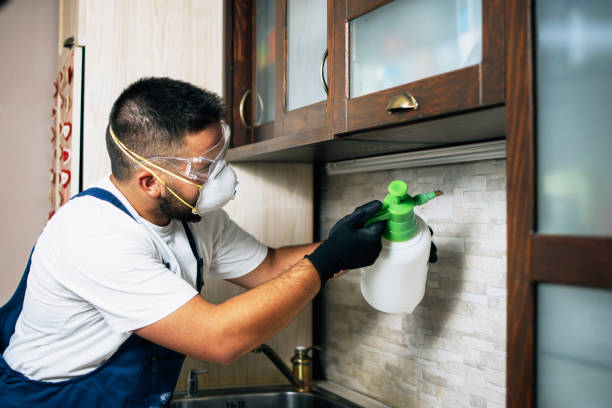 Best Pest Control for Homes  in Page, AZ