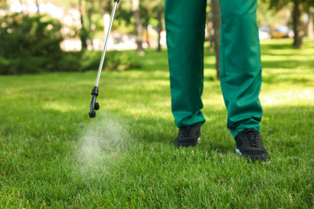 Trusted Page, AZ Pest Control Experts