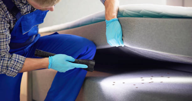Pest Prevention Services in Page, AZ