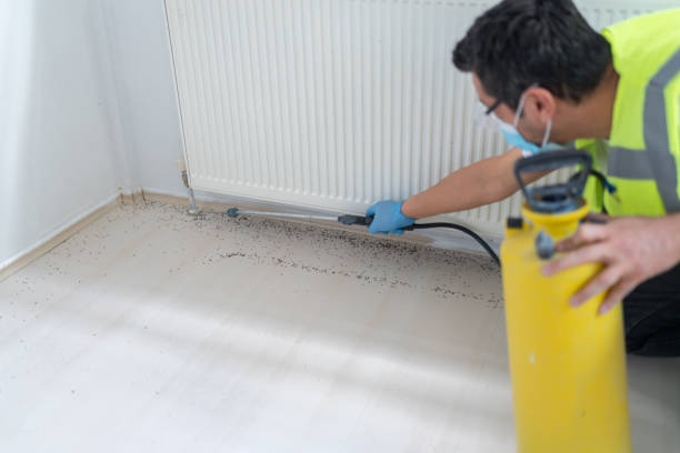 Best Affordable Pest Control Services  in Page, AZ