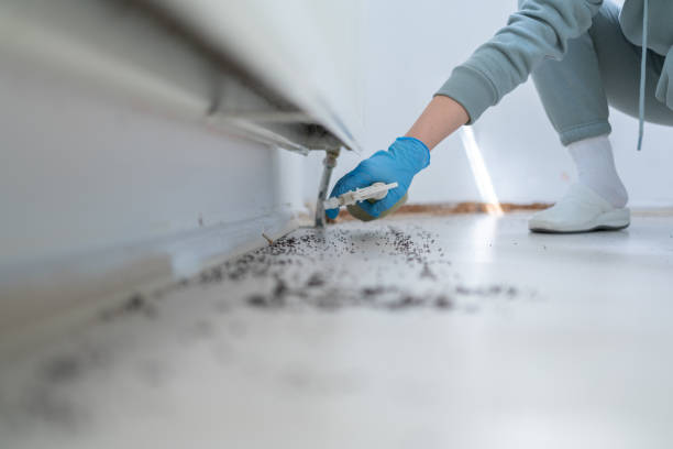 Wildlife Control Services in Page, AZ