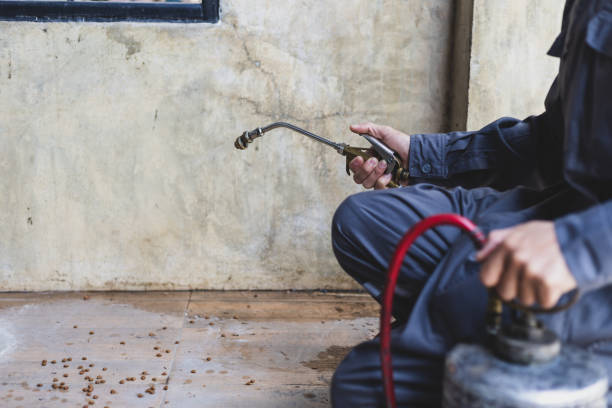 Best Exterminator Services  in Page, AZ